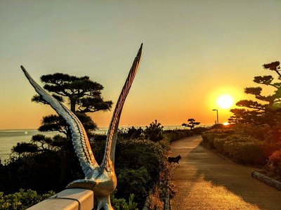 🌳 다카사고 해변공원(타카사고 카이힌 코엔) 이미지 2